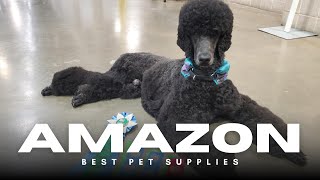 🎒 Dog Treat Pouch with Training Clicker – Strong Magnetic Cl