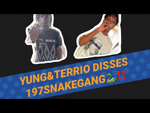 NashvilleNewsTV- TBGLiTerrio And TBGYung(BsgKreep) Posted a Diss Song Throwing Shots At 197SnakeGang