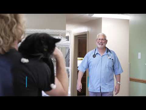 Dr. Robert Johnson, Previous Owner