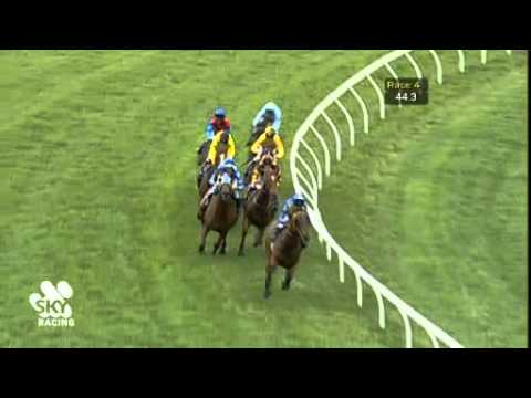 Ascot Race 5 - Ken Good Handicap - 05/11/11