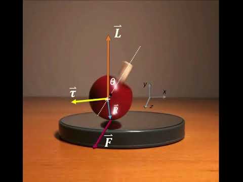 The physics of tippe top inversion.