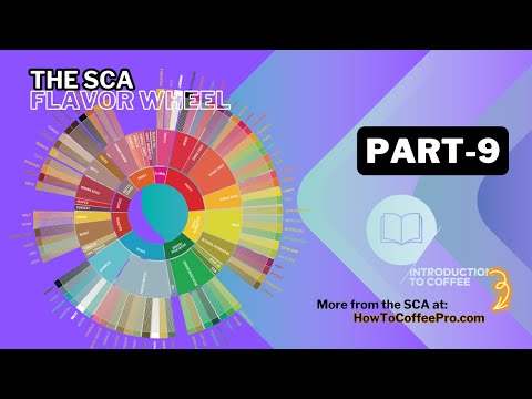 Part 9 - SCA Introduction to Coffee Course_The SCA Flavor Wheel