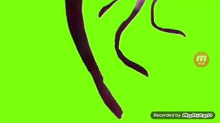 Download lagu Laughing Lady, Sky Tentacles and Day 18 Jumpscare Green Screen mp3