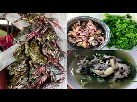 Tinolang Palaka/ Tukak In Ilokano