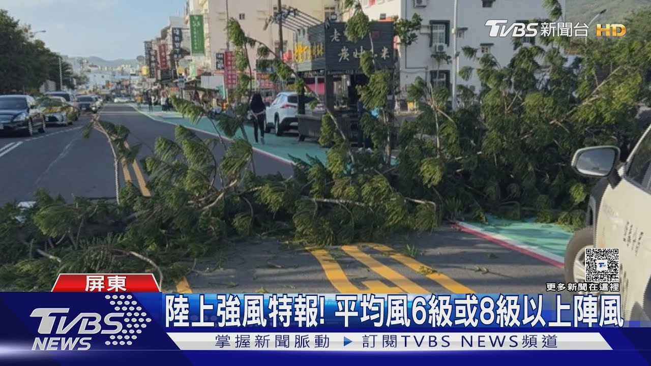 不敵強勁落山風!墾丁大街巨樹被吹斷佔據車道