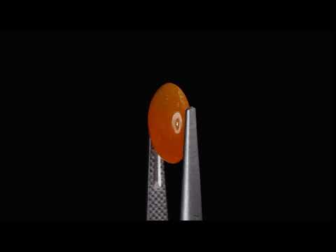 Натуральний помаранчевий Опал овал 2.11ct видео
