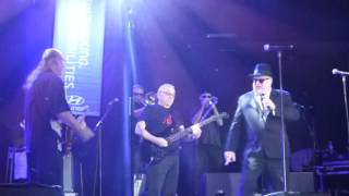 The Original Blues Brothers Band - Messin&#39; with the kid