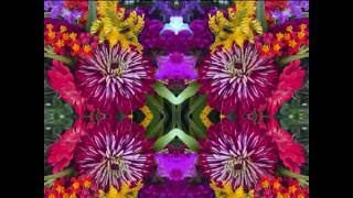 First Light (by Bert Jansch, John Renbourn & Jacqui McShee live in NYC 1992)