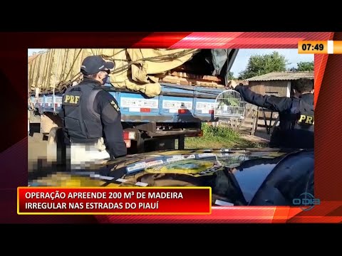 Ação da PRF e Ibama apreendeu 200 m3 de madeira, animais silvestres e veículos roubados 10 02 202