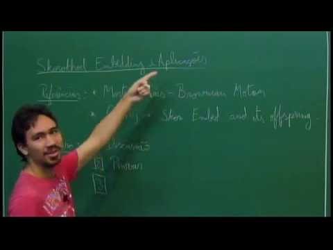 Programa de Doutorado: Processos Estocásticos - Daniel U Borges