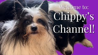 Welcome To CHIPPY’S CHANNEL!