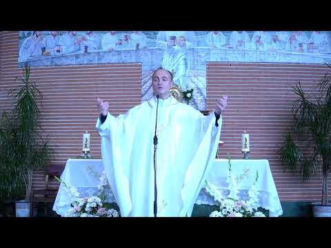 HOMILÍA DEL DÍA, SAN MARTÍN DE TOURS. #PADRESANTI #REFLEXION 11/11/2020