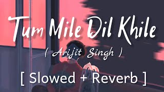 Tum Mile Dil Khile -  Slowed + Reverb   - Arijit S