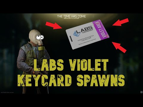 Escape From Tarkov Labs Violet Card Spawns, patch 0.12, valuable loot