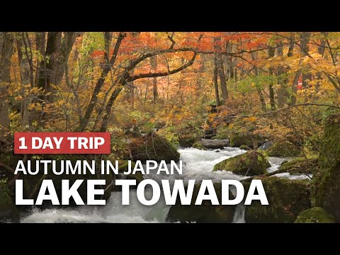 秋天來了！讓我們一起去日本賞楓吧！ (One of the Best Autumn Spots in Japan, Lake Towada | japan-guide.com)
