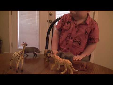 AFRICAN SAFARI ANIMAL TOY COLLECTION!