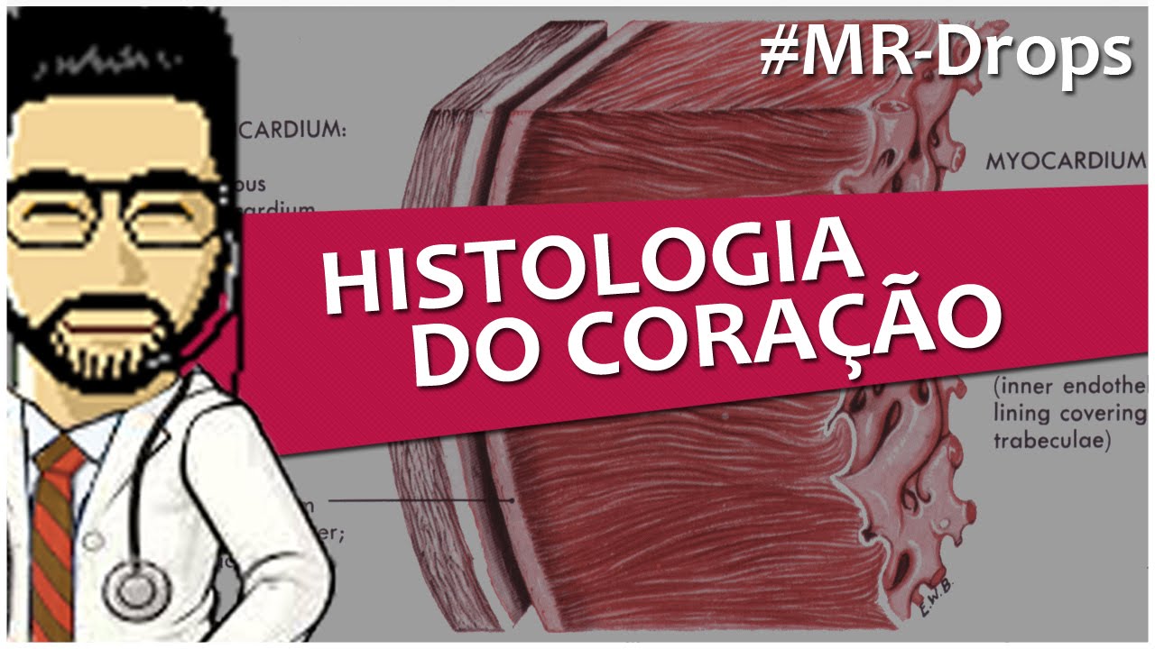 Histologia do Coração (Endocárdio, Miocárdio e Epicárdio) - #MRDrops