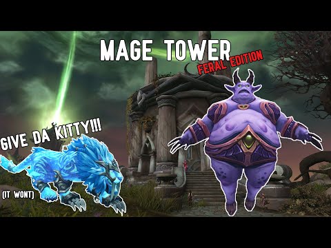 Mage Tower Feral Druid Guide In 11.2.5 - No Cheese.