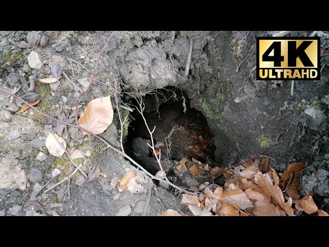 Altbergbau: Fuchsbau oder Stollen?