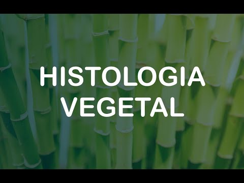 Histologia vegetal (PARTE 1)