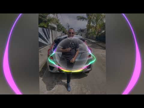 Lion winston Diss Kent (Noir fam de lanner merry christmas)