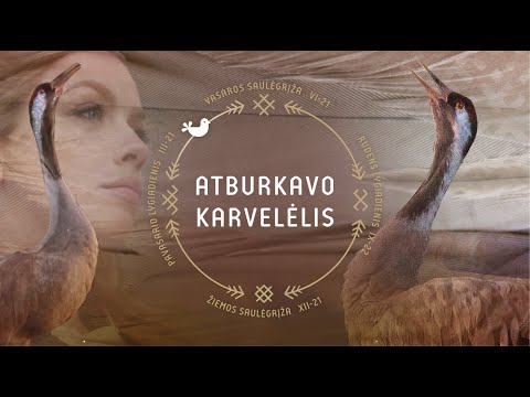 Atburkavo karvelėlis. Sutartinė / Dainos ir sutartinės apie paukščius 2021