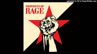 PROPHETS OF RAGE    Who Owns Who