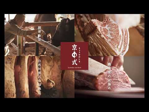 サン・マルシャル橋 (リモージュ) - 定義