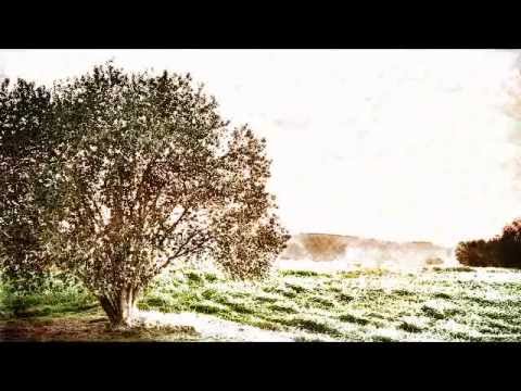 Kamel Ben Jaafar - Symphonie n°9 