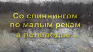 Ловля рыбы во время половодья