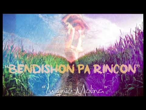 Luiginio Molina - “Pal’i Awa” Foyan Boyz live