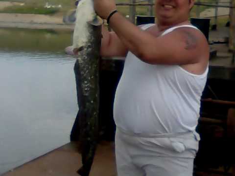 La peste pe Frasinet.3gp