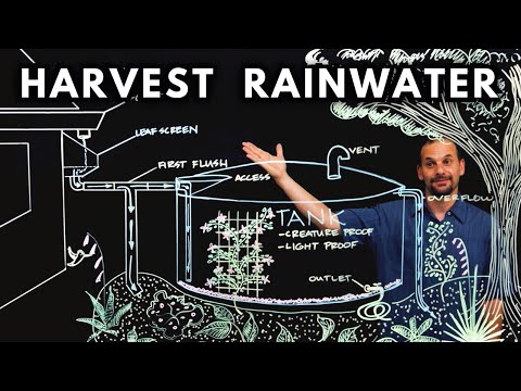 Rainwater Harvesting System Installation: Your Guide to Capturing the