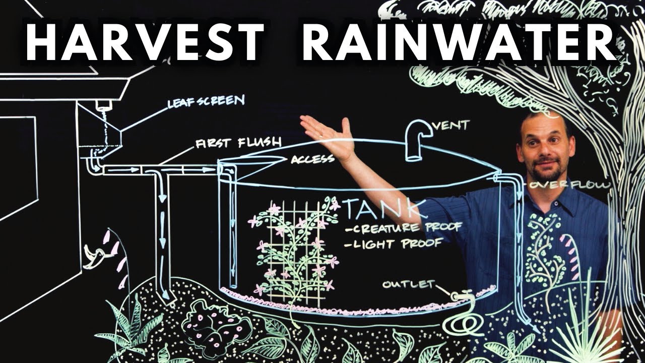 How to HARVEST RAINWATER from your roof