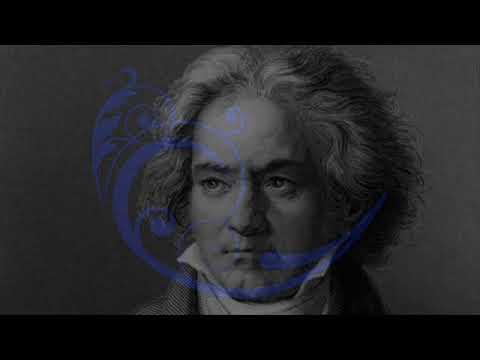Beethoven - Pierre Barbizet & Christian Ferras - Violin Sonata No.1 in D, Op.12 No.1
