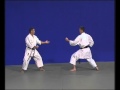 8 Bunkaï Hangetsu III
