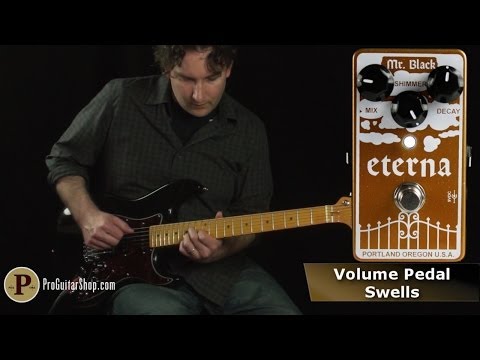 Mr Black Eterna Gold Modified Reverb