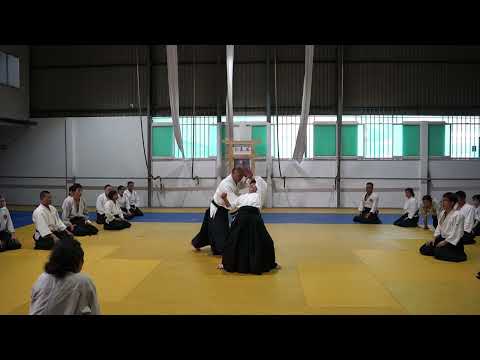 2023 HAF Aikido Seminar - Shihan Etsuji Horii - Ai hanmi katate dori kokyu nage 3