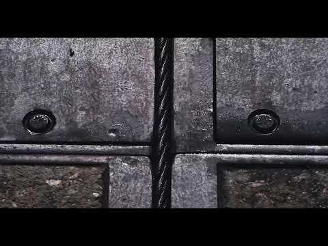 Derby of San Francisco X Jeremy Fish