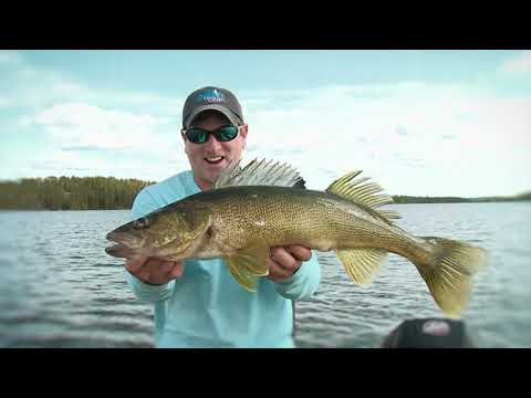 Birch Bark Lodge (Remote Walleye and Pike Fishing)!