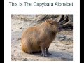 The Capybara Alphabet