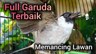 Download lagu Macam macam suara kutilang gacor nggaruda isian terbaik - bikin kutilang lain terpancing emosi mp3