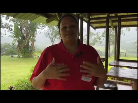 testimonial video