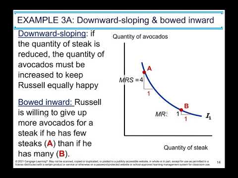 Chapter 21: The Theory of Consumer Choice 9th edition