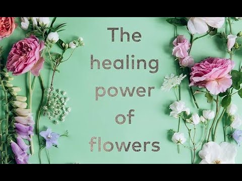 The Healing Power of Flowers by Master Ranjani #meditation #flowers #healing