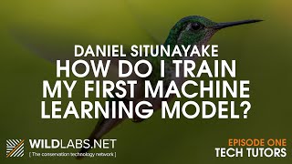 Daniel Situnayake: How do I train my first machine learning model?