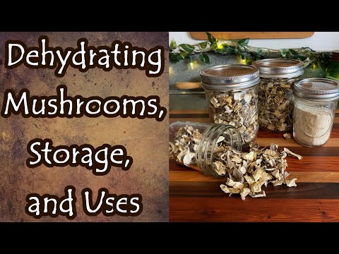 Dehydrating Mushrooms, Storage, and Uses
