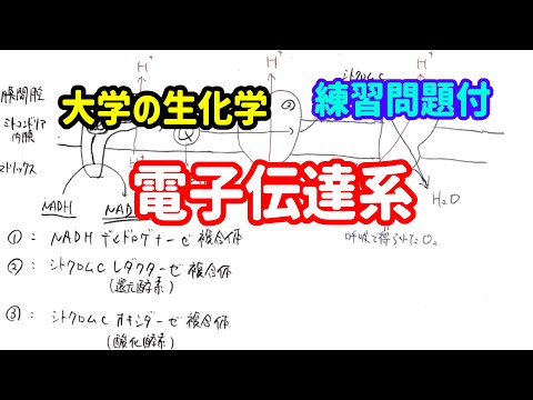 D2B: 他の毒性効果を有する有毒物質