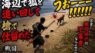 【戦国ダイナスティー】海辺で狐を追い回す戦国時代の不審者www #2