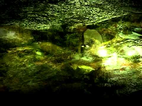 FERNANDO AGUILAR - ME SOÑÉ CON LA MUERTE